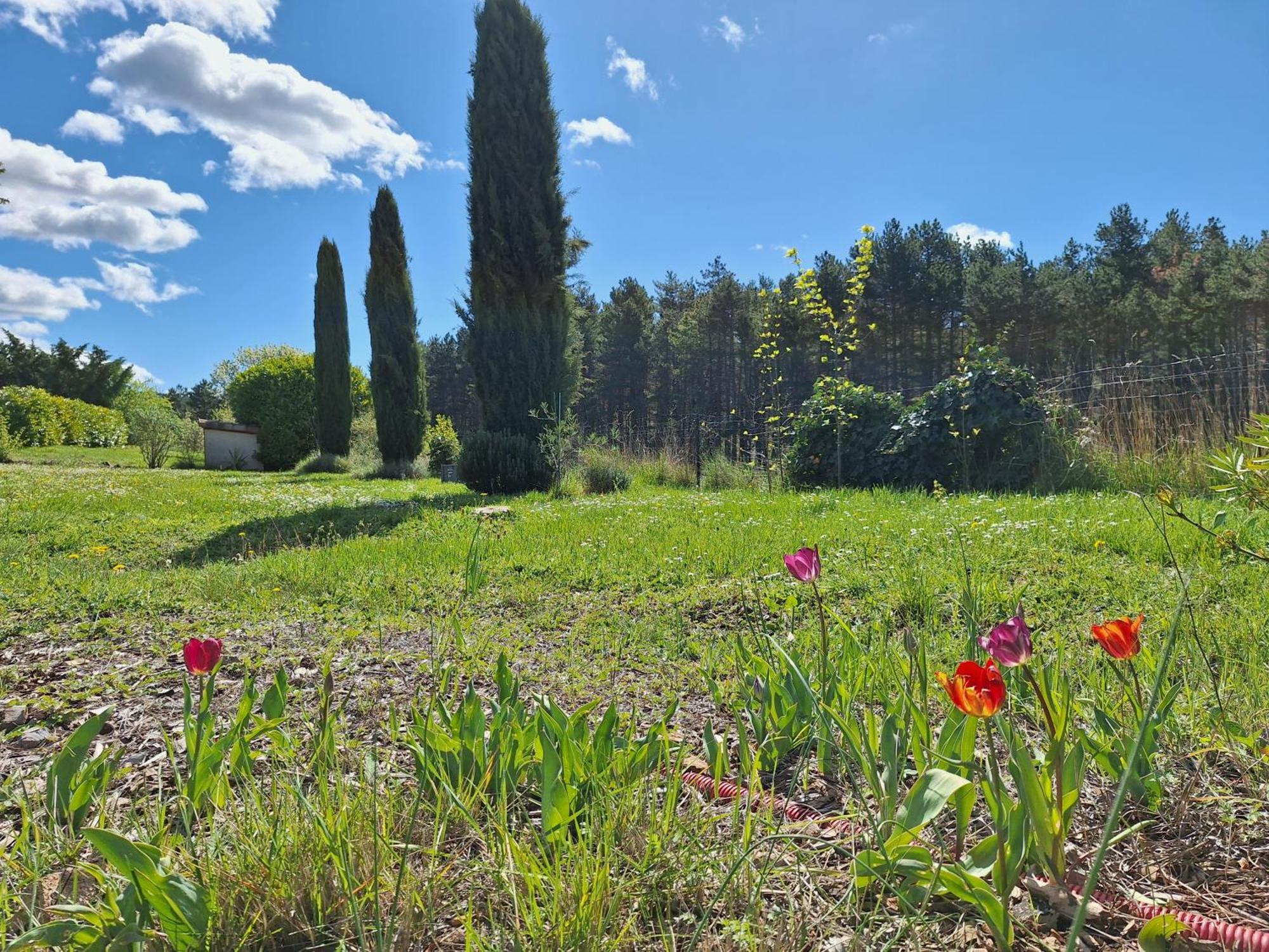 Studio " Le Fare Des Terres Rouges" Dans L Aude Arques  Экстерьер фото
